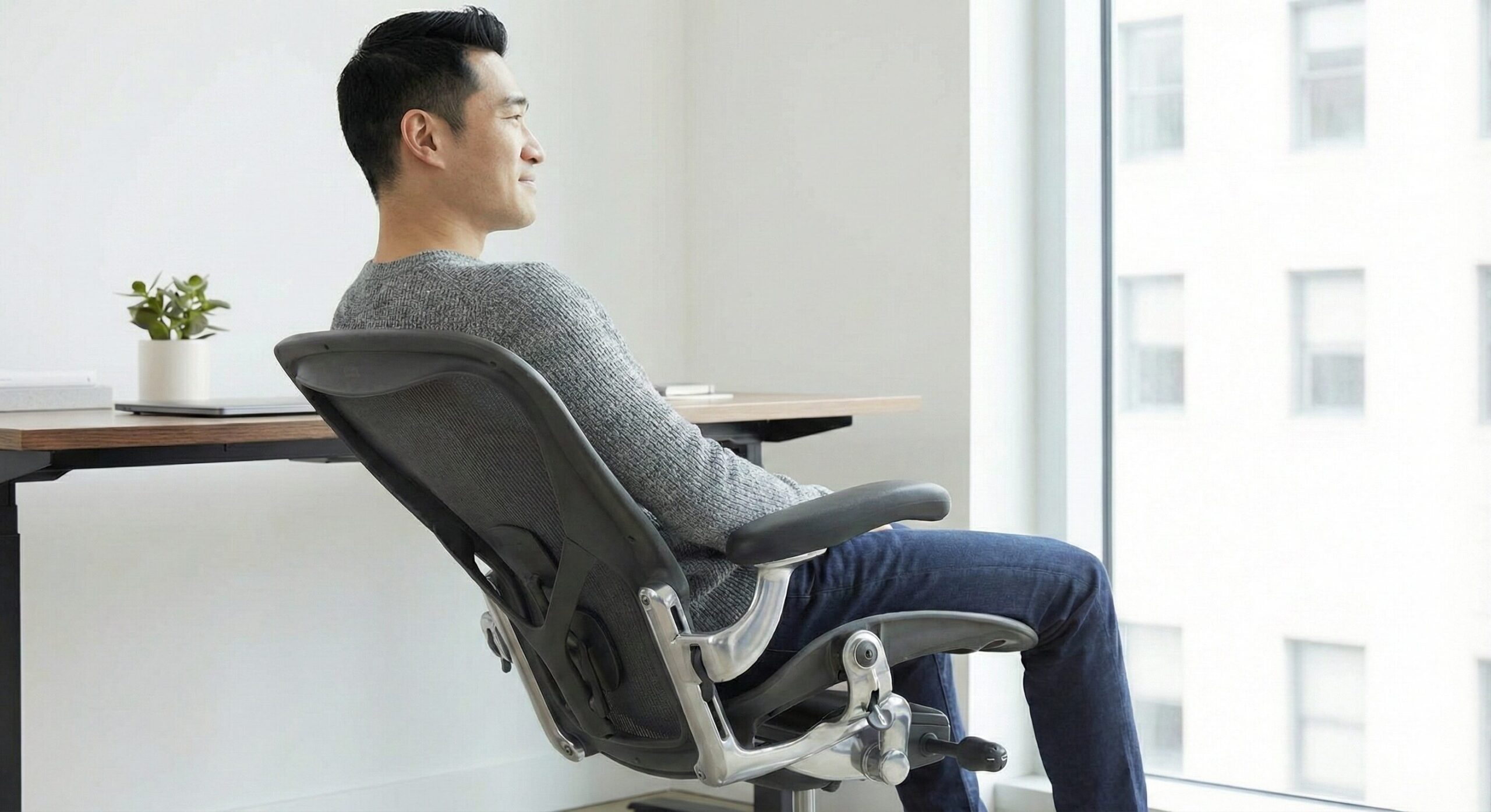 ランバーサポートを取り外したシンプルなアーロンチェア