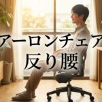 アーロンチェアに座り正しい姿勢でデスクワークを行う様子